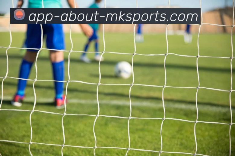 MK体育APP平台生态图