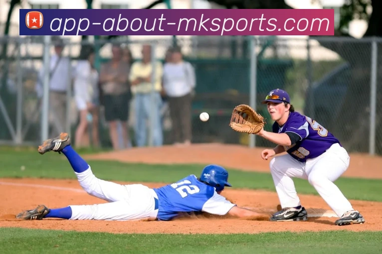 MK体育APPAPP 封面图